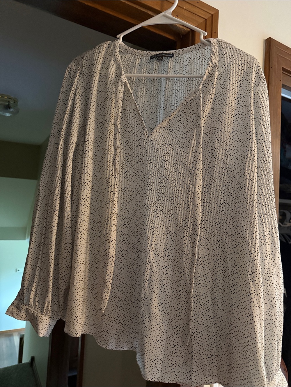Adrianna Papell Cream Split V-Neck Blouse with Micro Dot Print